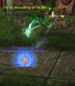 grell wow warcraft pet battle