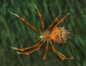 spider wow warcraft pet battle