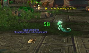 vermling wow warcraft pet battle