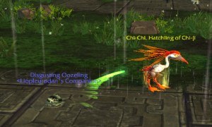 chichi wow world of warcraft pet battles