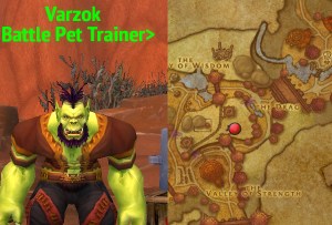 horde trainer varzok wow world of warcraft pet battle