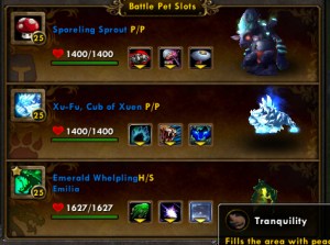 pvp team wow world of warcraft pet battle