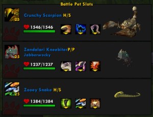 nitunteam wow world of warcraft pet battle