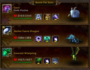 taralune team pet battle battle pet